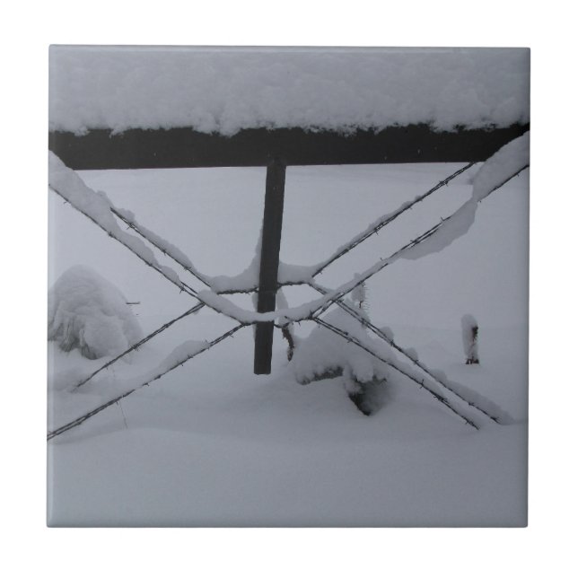 azulejo decorativo (Frente)