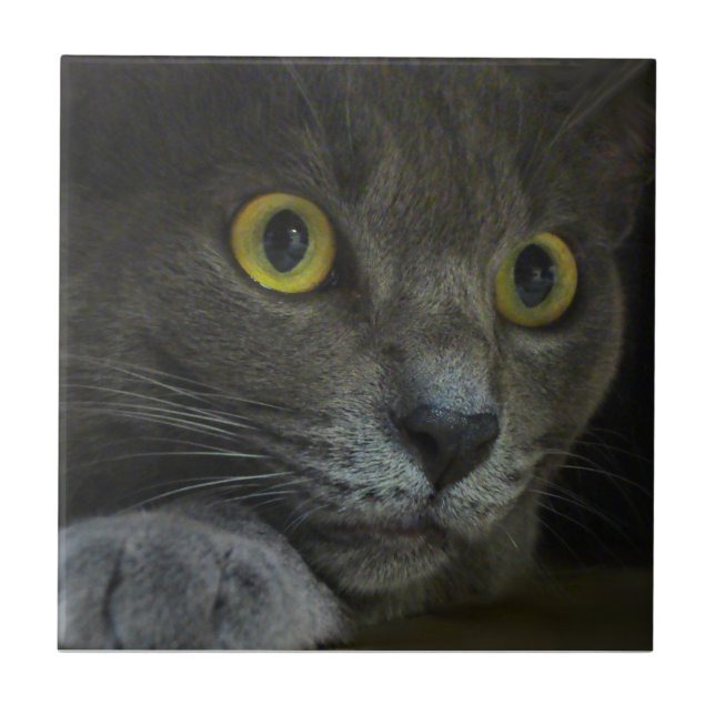 Azulejo decorativo da intensidade (Frente)