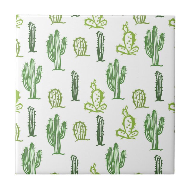 Azulejo Decorativo De Cactus Bem Suculento (Frente)