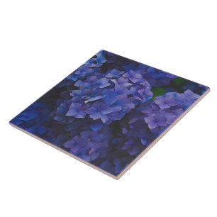 Azulejo Decorativo de Cerâmica Crepúsculo Hortênsi