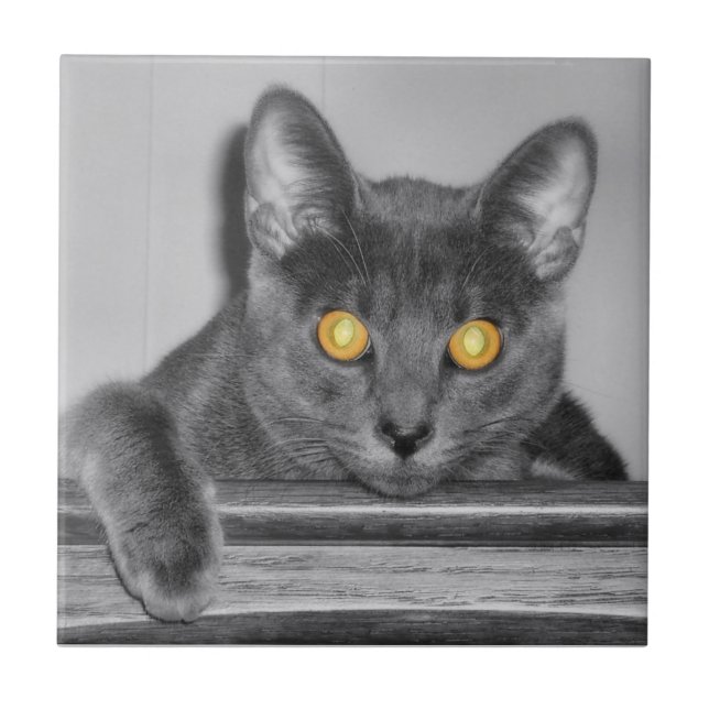 Azulejo Decorativo Dourado (Frente)