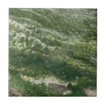 Azulejo Decorativo Verde