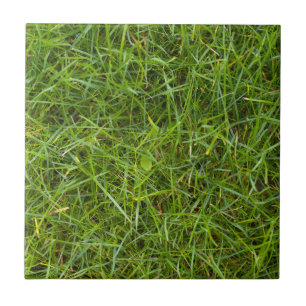 Azulejo do teste padrão da grama verde
