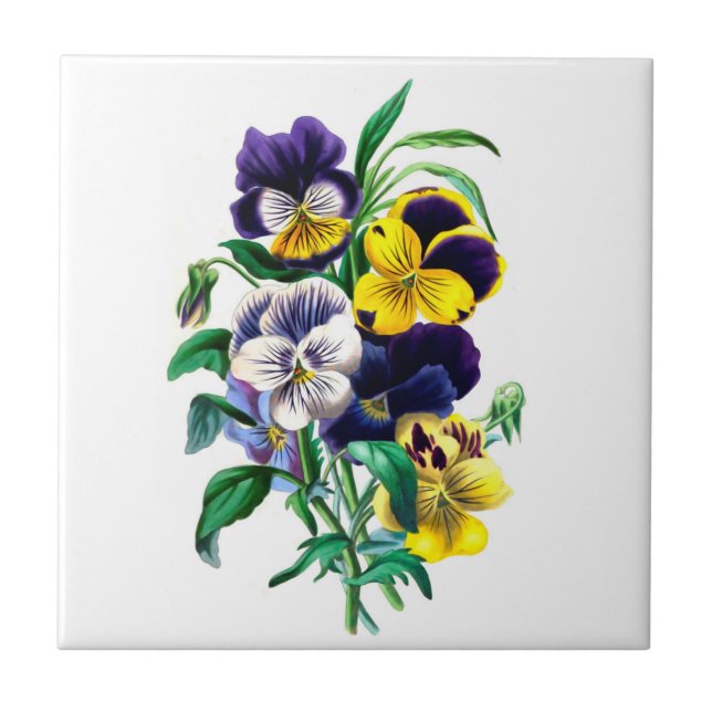Azulejo dos Pansies (Frente)
