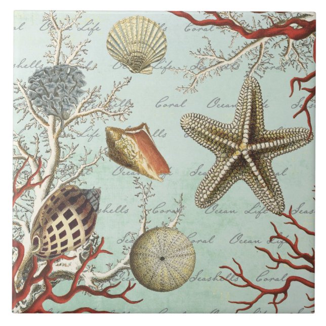 Azulejo dos Seashells do vintage… (Frente)