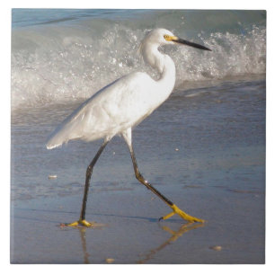 Azulejo Egret Branco