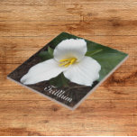 Azulejo Floral Flor Trilliar Branco<br><div class="desc">Pense em primavera com esse azulejo quadrado,  cerâmico,  que mostra a foto de uma flor branca de Trilium,  uma planta florestal. Um design floral adorável! Faz uma bonito trivet de cozinha! Selecione o tamanho do seu azulejo.</div>