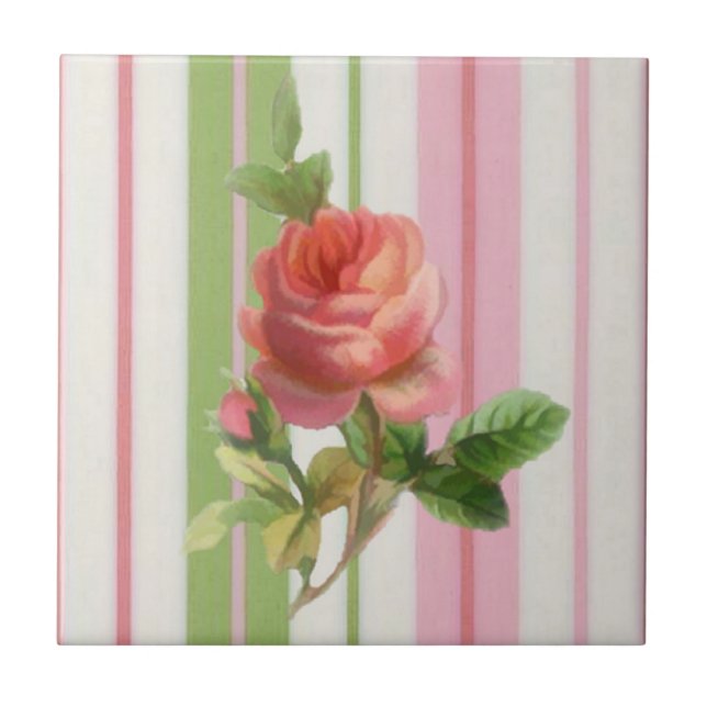 Azulejo gasto do rosa (Frente)