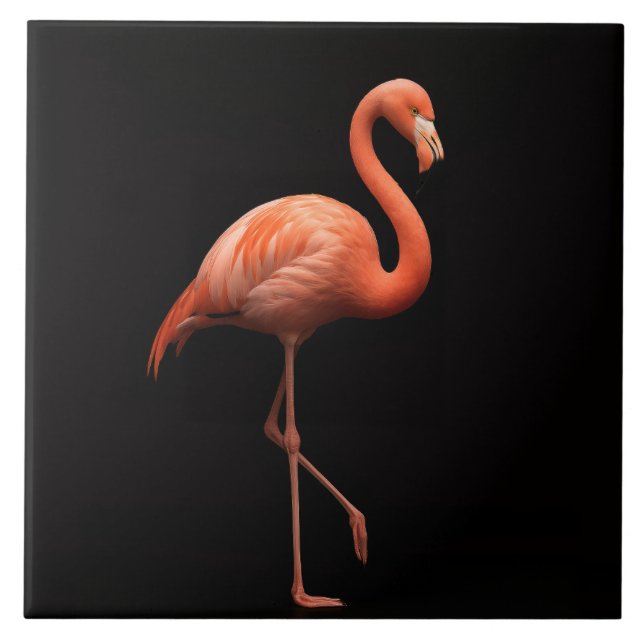 Azulejo Negro 4 Luxo com Pássaro Tropical Flamingo (Frente)