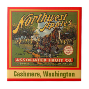 Azulejo noroeste da etiqueta da caixa da caxemira