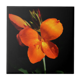 Azulejo Orquídeo Azzling