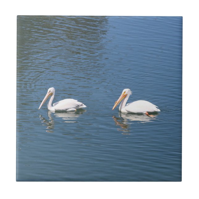 azulejo pelicano casal (Frente)