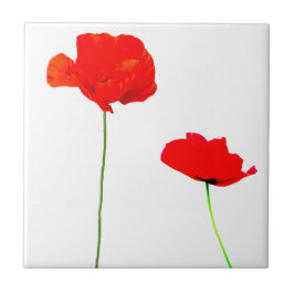 AZULEJO POPPY Collection 03