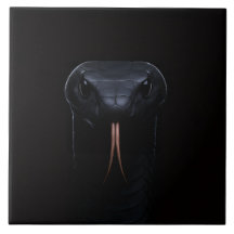 Azulejo preto 4 Luxe com Elegância Black Mamba