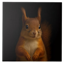 Azulejo preto 4 Luxe com Esquilo Vermelho