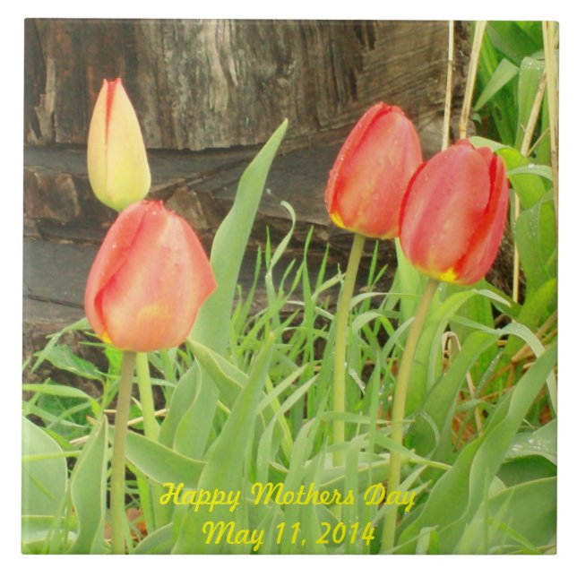 AZULEJO PRIMAVERA 2 DIA DE AS MÃES (Frente)