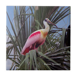 Azulejo Roseate Spoonbill