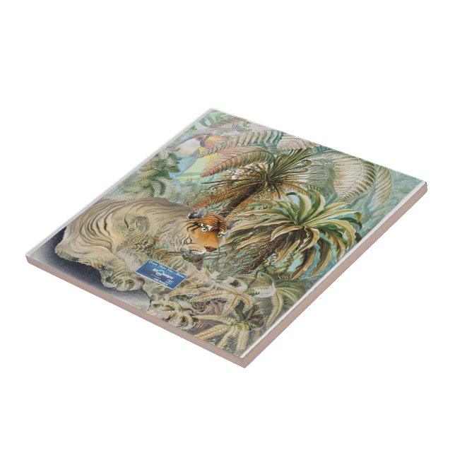 Azulejo Silver (Febre Selvagem) SDCs ©️ 2024 (Lateral)