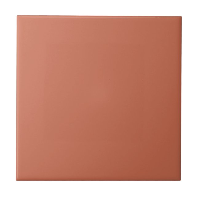 Azulejo Sólido Minimalista de terracotta (Frente)
