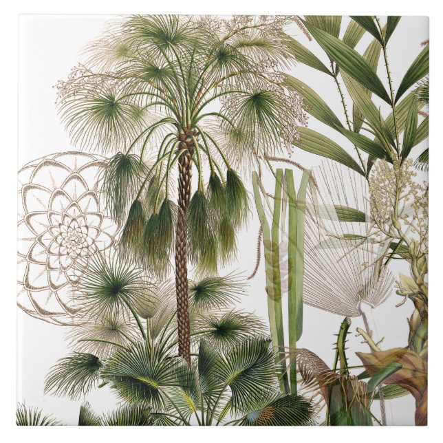 Azulejo tropical das frondas da palmeira da ilha (Frente)