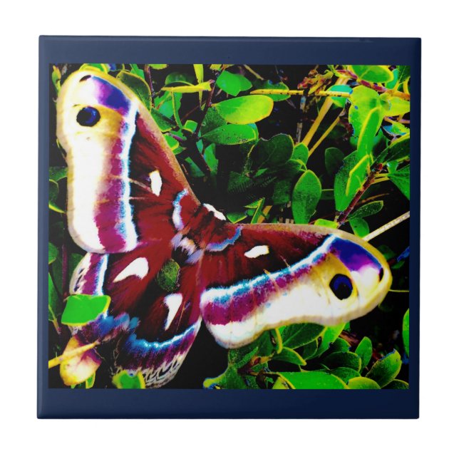 Azulejos Blues borboletas (Frente)