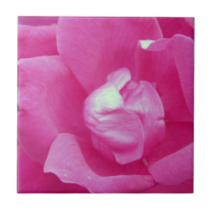 Azulejos Cerâmicos de Foto Rosa Rosa Vívido