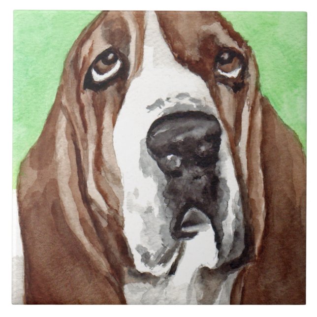 Azulejos da arte de Basset Hound (Frente)