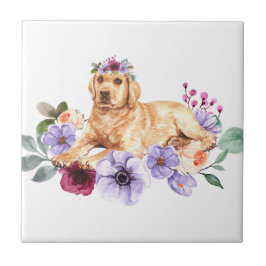 Azulejos de Cerâmica com Labrador Amarelo Brincand