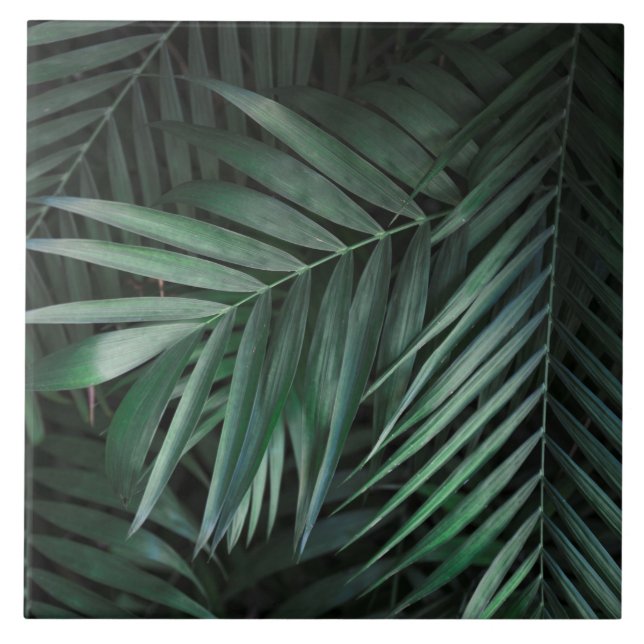 Azulejos de cerâmica lindos e elegantes (Frente)