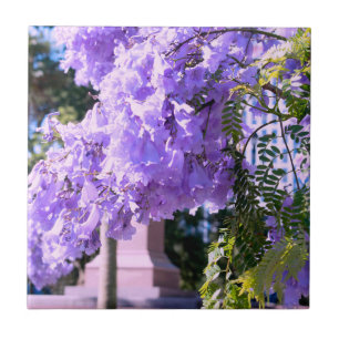 Azulejos decorativos da Princesa Roxa de Auckland