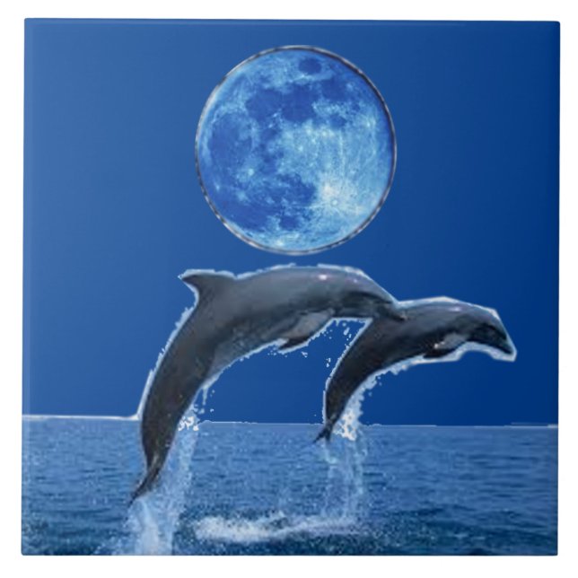 Azulejos do golfinho (Frente)