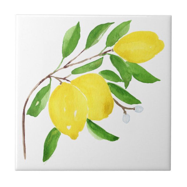 Azulejos mediterrânicos, majolica, estilo sicilian (Frente)