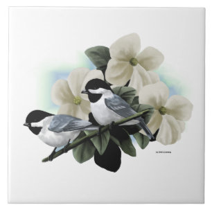 Azulejos tampados preto do Chickadee