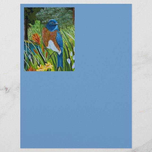 Azulinho-do-oeste (Frente)