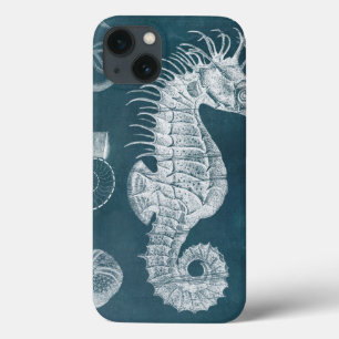 Azure Seahorse Study I