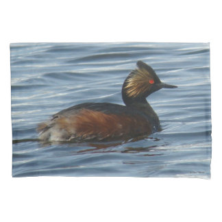 B1 Eared Grebe