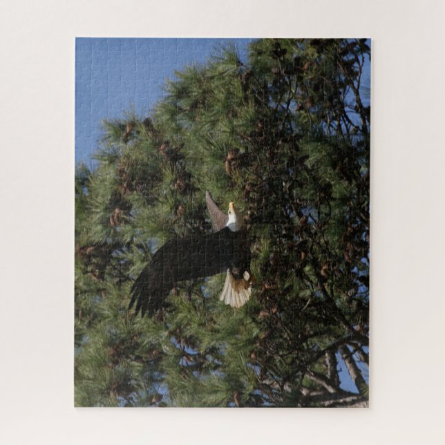 B3BB, Pai Berry jigsera quebra-cabeça (Vertical)