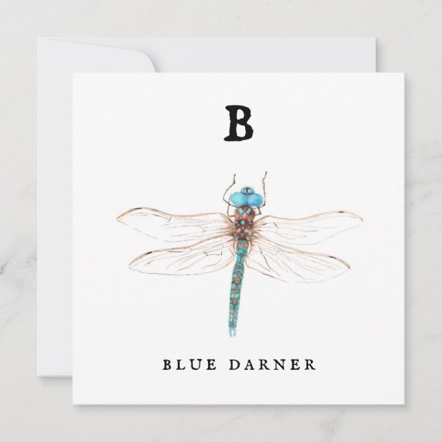 "B" Blue Darner (Frente)