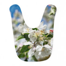 Flor de cerejeira.