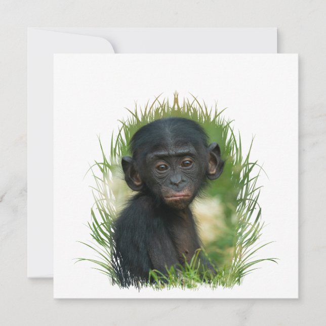 Baby Ape In Grass (Frente)