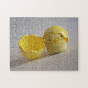 Baby Bird Quebra-cabeça