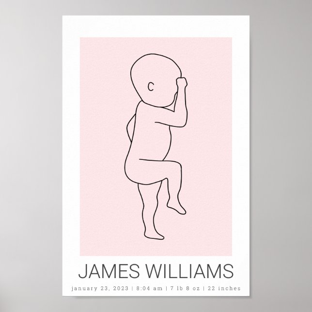 Baby Birds Stats Personalized Poster - rosa (Frente)