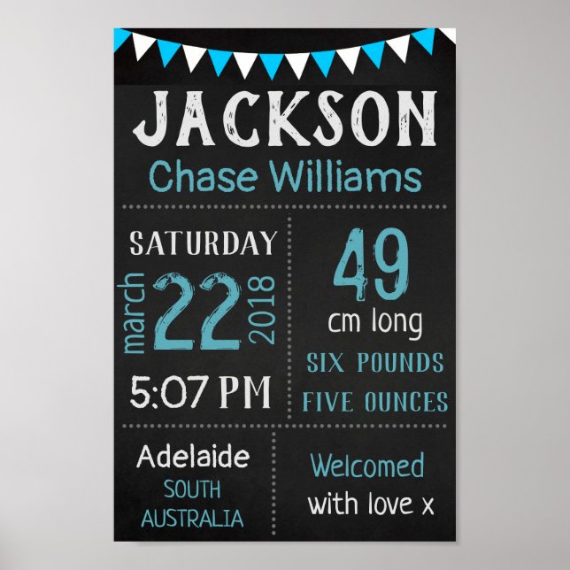 Baby Birds Stats Wall Impressão Poster - Blue Chal (Frente)