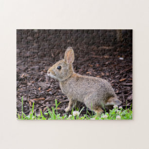 Baby Bunny Jigsee Quebra-cabeça