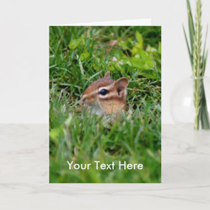 Baby Chipmunk Animal Cartão com fotos