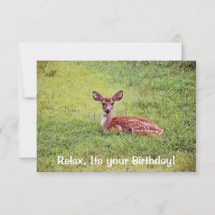 Baby Deer Fawn Relaxando Cartão de Aniversário P