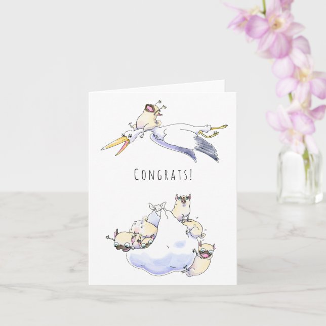 Baby Drop new cachorrinho ou cartão de bebê (Orquídea)