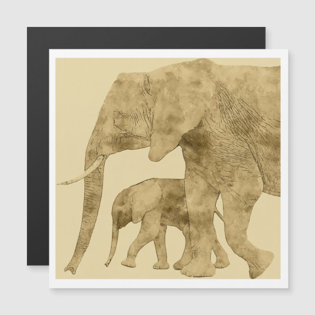 Baby Elephant with it's Mother  (Frente/Verso)