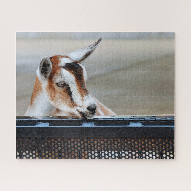 Baby Goat Jigsee Quebra-cabeça (Horizontal)