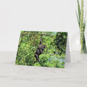Baby Gorilla (2035) - Cartão de Aniversário